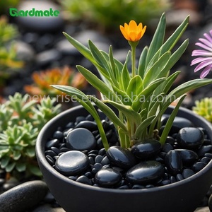 1.8KG Black Modern Waterproof Decorative <strong>River</strong> Stones for Potted Plants Landscaping Patio Garden Vase Pond Fountain - Product Image 5