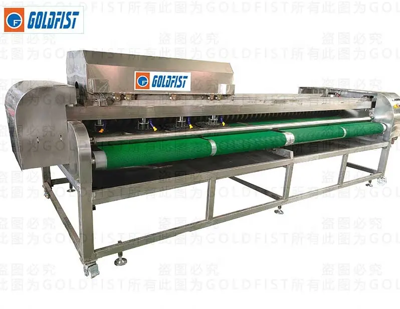 Goldfist CRG-3500 Karpet Kasur Debu Mesin Pembersih dengan Bulat Kuas/Sepenuhnya Otomatis Karpet Mesin Cuci Karpet Cuci