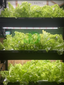Slimme LED-<span class=keywords><strong>aquaponics</strong></span> kast voor binnen, kruidentuin, intelligente microgroenten aeroponische verticale hydroponische kweekset - Product Image 3