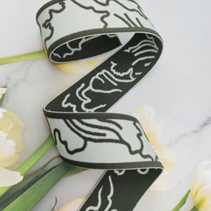 Bande élastique colorée en nylon tissé épais, haute élasticité, avec logo et motif personnalisés en usine, pour sangle de selle et ceinture. - Product Image 1
