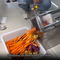 Commerciële automatische groentestrip snijmachine komkommer aubergine radijs stokjes snijder friet voor voedselverwerking