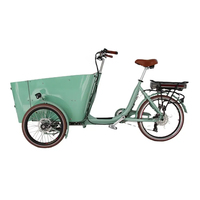 Sepeda Tricycle Listrik Roda Tiga untuk Dewasa dengan Bak Terbuka dan Pengangkut Hewan Peliharaan