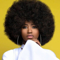Vente en gros Cheveux Afro Crépus Bouclés Remy pour Pixie Perruque Full Frontal Brésilien Dentelle Perruque avec Dentelle Transparente pour les Femmes Noires