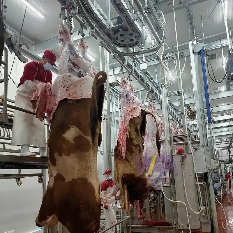 Lal inek mezbaha abattoir makine kasap ekipmanları için sığır anahtar teslimi slaughter ev hattı makinesi