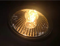Lampe chauffante pour tortues Gako haute puissance, lampe halogène, ampoule UVA UVB, lumière UV, lampe de bain de soleil pour tortues, serpents, lézards