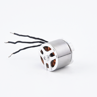 Usine personnalisée 12V 18V 24V Brushless DC Micro Moteur Aimant Permanent 50W 100W UAV Drone Aspirateur