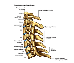 Masajeador de Tracción <span class=keywords><strong>Cervical</strong></span> Inflable Portátil de Alta Calidad para Alivio del Dolor - Product Image 4