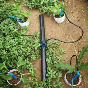 Système d'irrigation goutte à goutte efficace-<span class=keywords><strong>Goutteur</strong></span> d'<span class=keywords><strong>araignée</strong></span> de 1 à 4 directions pour l'arrosage du jardin - Product Image 2