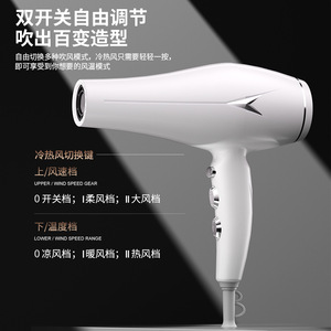 Ion Hair <b>Dryer</b> High Speed Ionic AC Motor 220V With Heat Protection For Fast Drying - Product Image 4