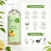 Savon à vaisselle liquide écologique biologique sans paraben, nettoyant multi-usages pour la vaisselle, la cuisine et la salle de bain, Gleditsia Sinensis, citron