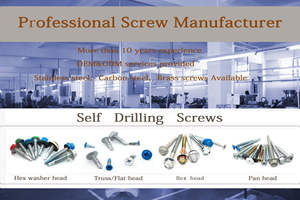 <span class=keywords><strong>Precio</strong></span> de fábrica 304 316 Acero inoxidable Cruz avellanada Cabeza plana Taladro Cola Perno autorroscante Phillips Tornillo autoperforante - Product Image 4