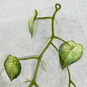 Plante artificielle Meiyu Craft Flowers, vigne de 1,8 m, feuille miroir, Pothos, pastèque, taro, décoration intérieure, accessoires de photographie - Product Image 3