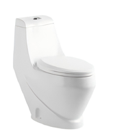 Toilette de camping portable à double chasse d'eau moderne et durable en acier inoxydable bol monobloc monté au sol radiateur de drainage à siphon en S