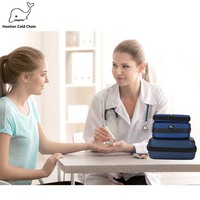 Tas Pendingin Pena Diabetes Dengan Layar Temperatur, Dompet Pendingin Insulin, Dompet Pendingin Hormon Peptida