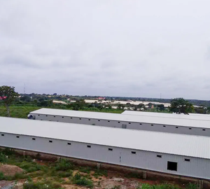 Casa de Campo Moderna Pré-fabricada em Estrutura de Aço Personalizada com Painel Sanduíche para Uso Avícola - Product Image 5