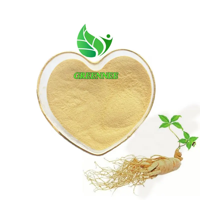 Ginseng Extract 80% Ginsenosides Cas Nr: 51542-56-4