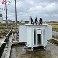 Transformateur de distribution de puissance triphasé immergé dans l'huile, bobinage en cuivre pur Dyn11, 10 kV 0,4 kV, sur mesure par le fabricant