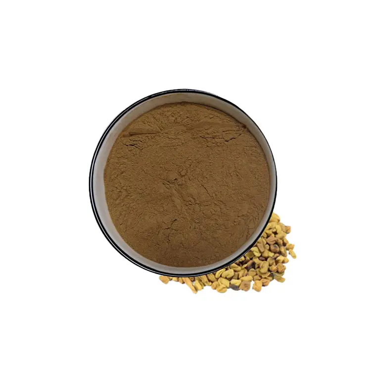 Natural Supplement Foenum-graecum Extract Fenugreek Seed Extract with 90 Percent Saponins