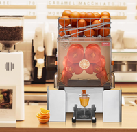 Commerciële automatische sinaasappelpersmachine van roestvrij staal met automatische invoer fruitmand voor catering