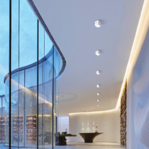 Proyector LED de 10W barato de mayorista Luminria 12W Luz de techo LED para sala de estar en tonos blancos y negros - Product Image 5