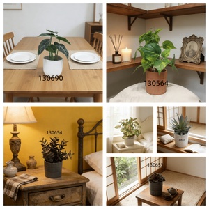 <span class=keywords><strong>ต้น</strong></span><span class=keywords><strong>บอน</strong></span>ไซขนาดเล็ก ใบคาลาเดียมหลากสีสันเสมือนจริง <span class=keywords><strong>สี</strong></span>ขาวเขียวในกระถาง<span class=keywords><strong>สี</strong></span><span class=keywords><strong>ดำ</strong></span> สำหรับห้องน้ำและห้องครัว - Product Image 4