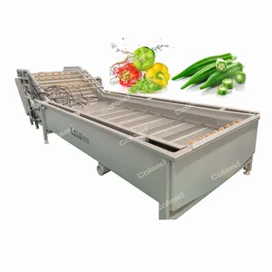 Industrial Food & Beverage Machinery Vegetable And Fruit Washing Machine