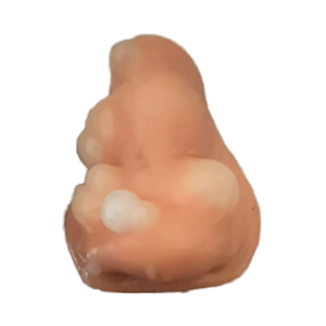 Juguete Antiestrés de TPR con Forma de Nariz de 8 cm, Regalo Creativo - Burbujas para Estopolar - para Niños y Adultos, Diversión y Relajación - Product Image 1