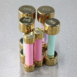 For <strong>Women</strong> and Kids Round Golden Steel <strong>Dumbbell</strong> <strong>Sets</strong> 1kg 2kg 3kg Colorful Foam Handle Cover - Product Image 1