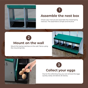 Tùy chỉnh về phía trước triển khai & rollaway, hen & Gà làm tổ hộp với trứng bảo vệ đẻ Bộ sưu tập Nắp - Product Image 3