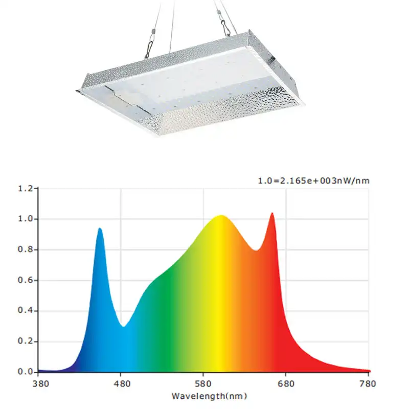 2021 Hot Sell 100W 200W 450W LED Grow Lights LED With UV IR Switch Stock Available In USA UK CA RUS Warehouse UV IC LED Light