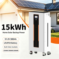 Sistem Penyimpanan Energi 10 Tahun, Baterai Lithium 15kWh Power Wall 51.2V 48V 100ah 200ah 300ah, Baterai Solar Lifepo4 untuk Energi Rumah Tangga