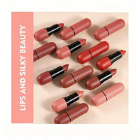 Rouge à lèvres mat velours, longue tenue, waterproof, anti-transfert, nude et brun, personnalisable avec votre logo, maquillage cosmétique pour les lèvres