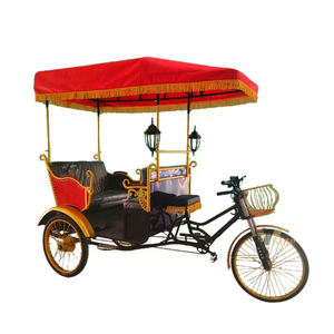 Vente Flash : Tuk Tuk Rickshaw Vintage à 3 Roues / Rickshaw à 3 Roues de Haute Qualité / Vélo-taxi Électrique pour Passagers avec Toit - Product Image 1