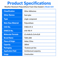 Mastic polyuréthane teinté TIAN JIAN A24 300ml, séchage rapide, adhésif PU monocomposant pour la construction de portes et fenêtres