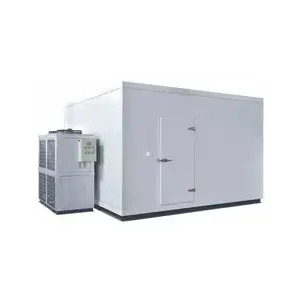 Low Price Branded Compressor Cold Storage Container Freezer Room and Cooler Room with Hinged Door