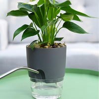 Vente en gros de pots à fleurs en plastique pour plantes succulentes, pots auto-arrosants, pots de jardin avec revêtement en poudre