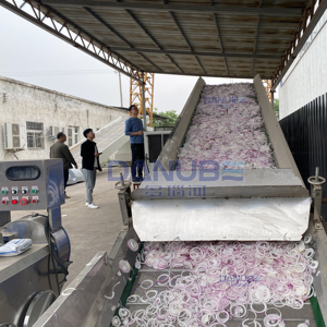 Séchoir à bande en maille durable pour oignons, machine de séchage d'oignons et d'ail, ligne de production de séchage d'ail, déshydrateur d'ail - Product Image 4