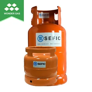 12,5 kg 26,5 l leere LPG-Gasflaschen Propangas-Tankherd LPG-Flaschen für Gabelstapler, Grill und Küche