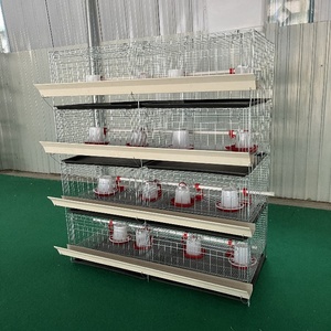 Éleveuse de poussins économique pour l'élevage de volailles et d'animaux, idéale pour les poussins de chair et les poussins de petite taille - Product Image 5
