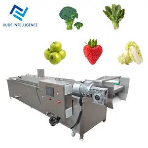 Machine à brûler les fruits et légumes à la vapeur pour le traitement des aliments frais