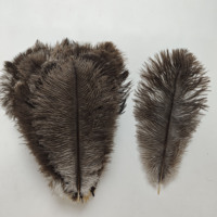 Plumes d'autruche brunes naturelles 30-35 cm, provenance Afrique du Sud, pour décoration de fêtes, loisirs créatifs et fournitures artistiques