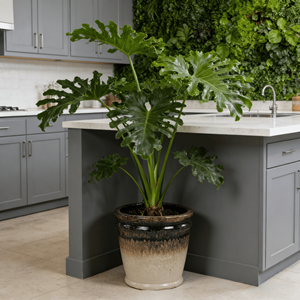 Grand pot de fleurs en céramique émaillée de style américain, trois tons, design dégradé noir-brun-beige, écologique, durable, pour intérieur - Product Image 2