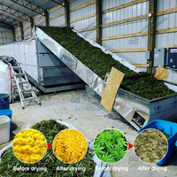 Équipement de séchage automatique des herbes, déshydrateur pour vanille, algues marines, menthe, moringa, machine à sécher les feuilles