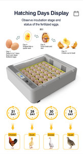 Wonegg xu hướng mới 36 lồng ấp trứng hoàn toàn tự động lồng ấp trứng cho gà - Product Image 6