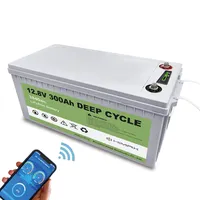 UPS Deep Cycle Rechargeable Lithium Iron Phosphate Batteries