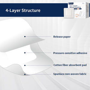 Balutan Kanula IV Non-Woven Perekat Bernapas untuk Perawatan Luka Rumah Sakit Klinik Perlengkapan Medis Tahan Air Fiksasi - Product Image 3