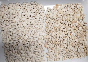 Penyortir warna 13 saluran 128-768 penyortir bentuk kompresor 45KW - Product Image 6