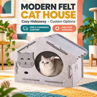 Maison pour chat en feutre moderne personnalisée, lit-caverne d'intérieur pour animaux de compagnie avec entrée en forme de visage de chat, vente en gros OEM ODM