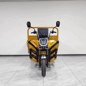 Camion électrique chinois à 3 roues, tricycle de fret motorisé 200cc-300cc avec carrosserie ouverte, certifié EEC - Product Image 4