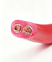 Zweiadriges Verzinntes Kupferkabel, Silikonisoliert, Integriertes Flachkabel mit Silikonmantel, Hochtemperaturbeständiges Stromkabel
